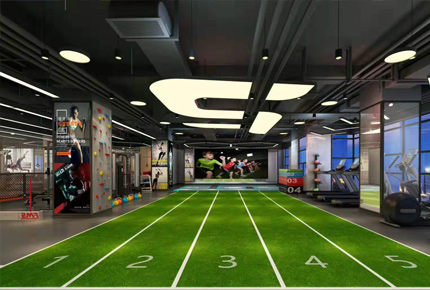 Gym artificial turf